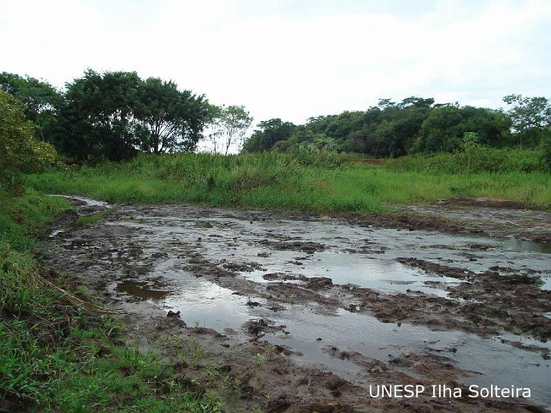 unesp_pos_2009 (41).JPG